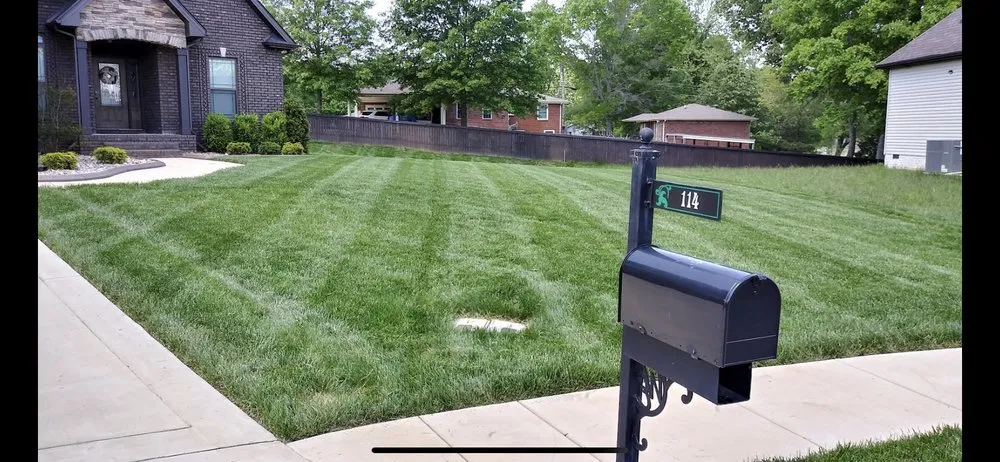 Custom yard maintenance for year-round maintenance across Oak Grove, KY - Just Cut It