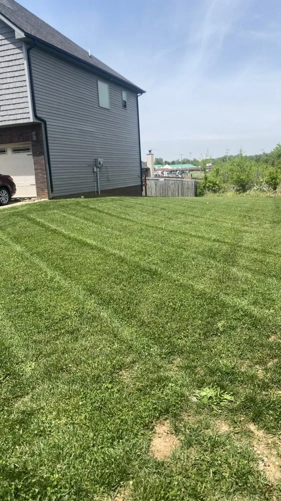 Expert yard cleanup service experts serving Oak Grove, KY - Just Cut It