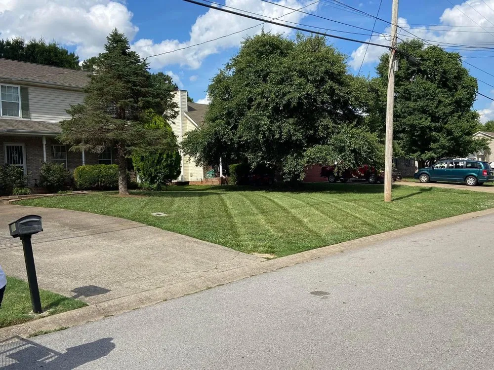 Professional outdoor landscaping in Oak Grove, KY by Just Cut It