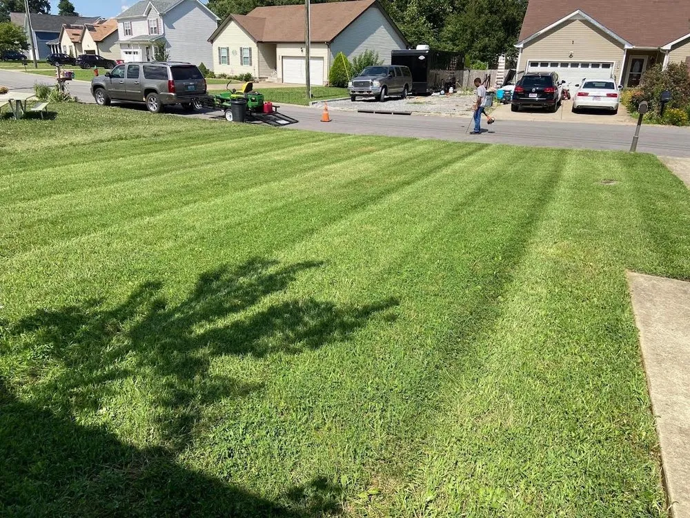 Top-rated yard cleanup service in Oak Grove, KY - Just Cut It