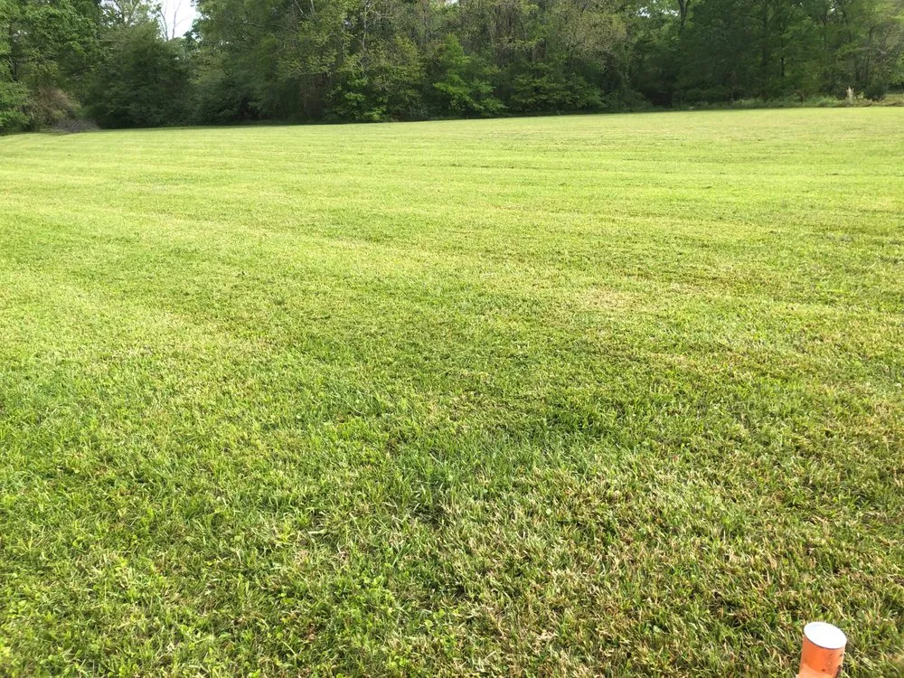 Reliable yard cleanup service near you across Zachary, LA - Just Cuts Lawn Care