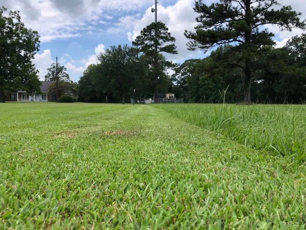 Custom yard cleanup service for residential properties across Zachary, LA - Just Cuts Lawn Care