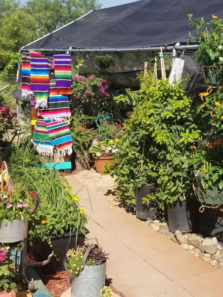 Top-rated garden landscaping in Carrizo Springs, TX by Just Dig It