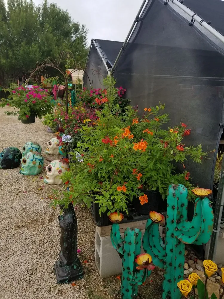 Top-rated outdoor landscaping near you in Carrizo Springs, TX by Just Dig It