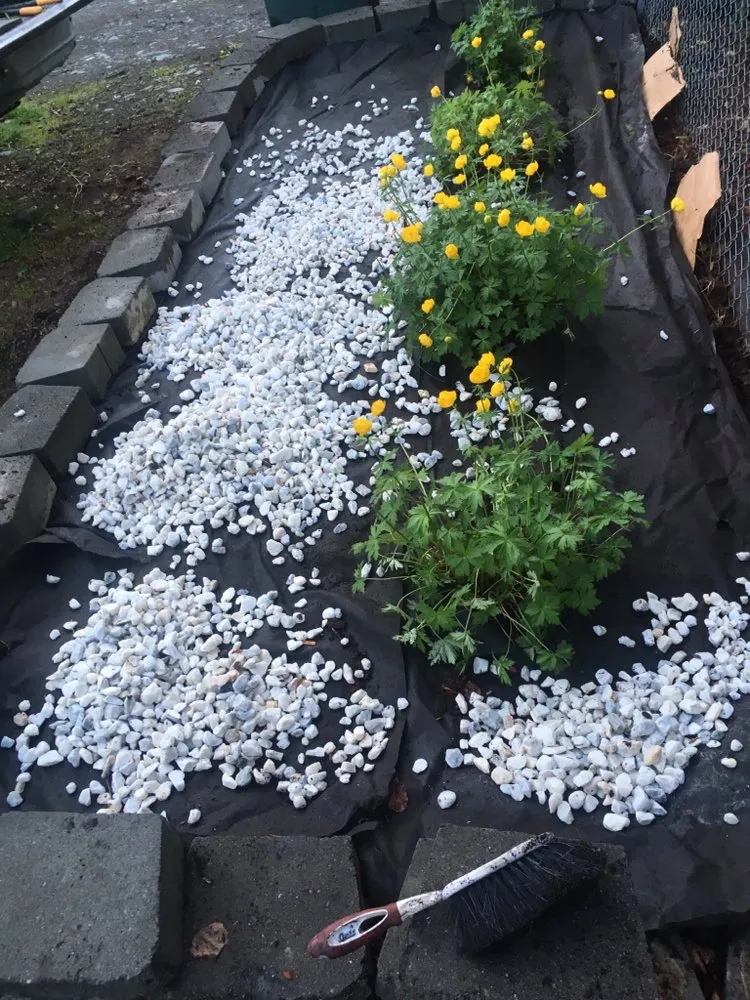 Professional landscaping services in Anchorage, AK by Just Dis Chick