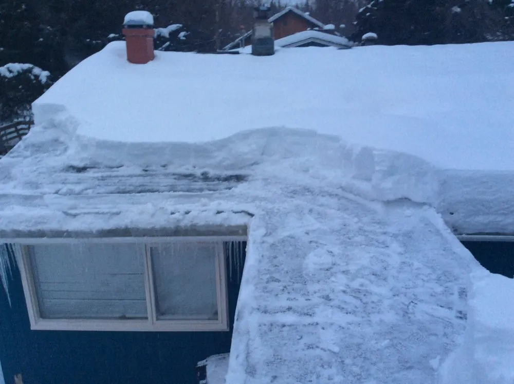 Local lawn care service in Anchorage, AK by Just Dis Chick