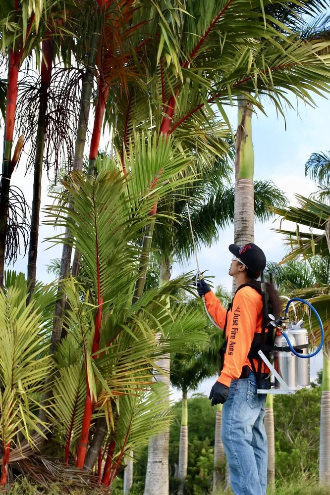 Expert yard cleanup service in Pepeekeo, HI by Just Fire Ants