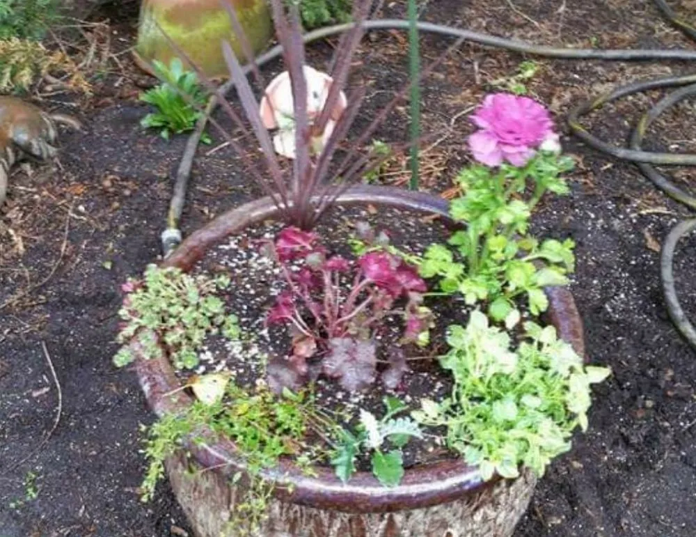 Top-rated yard maintenance experts serving Bryn Mawr, PA - Just For You Landscaping