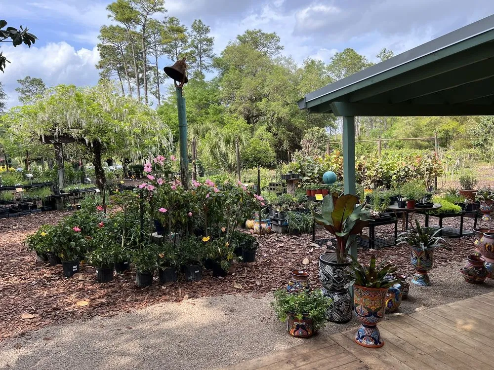 Top-rated lawn mowing service in Crawfordville, FL - Just Fruits and Exotics