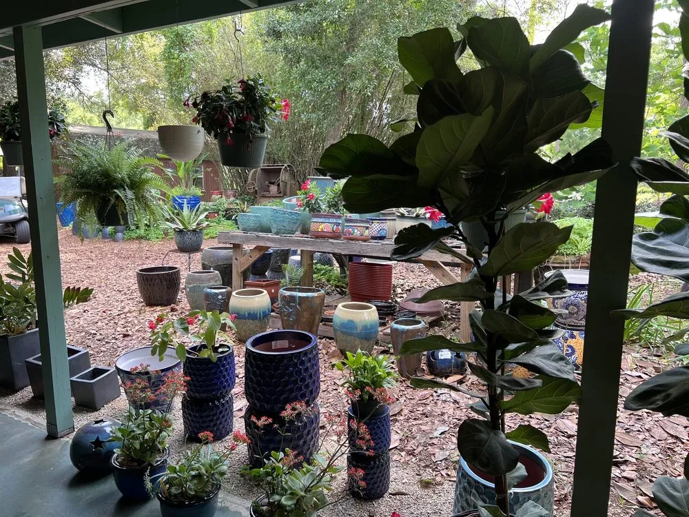 Local garden landscaping with custom design in Crawfordville, FL by Just Fruits and Exotics