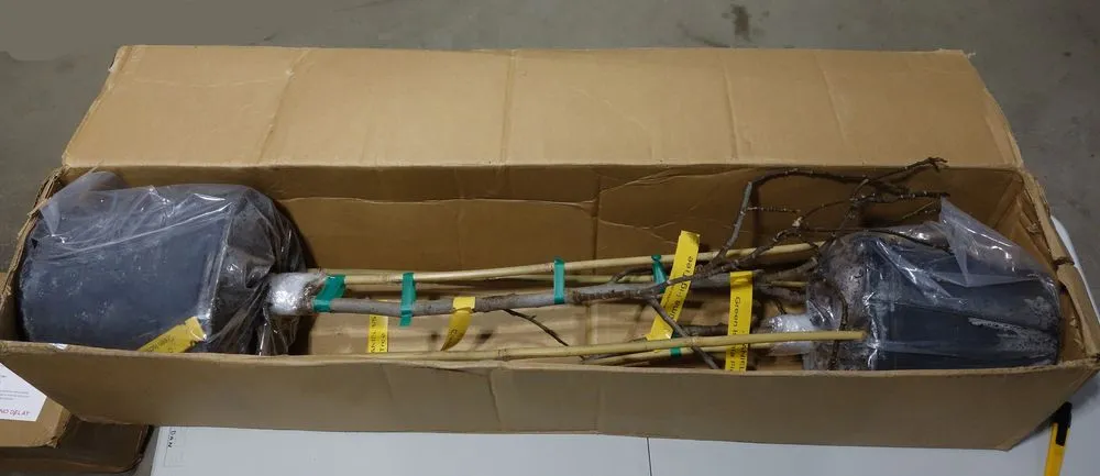 Expert landscape installation for beautiful yards in Crawfordville, FL by Just Fruits and Exotics