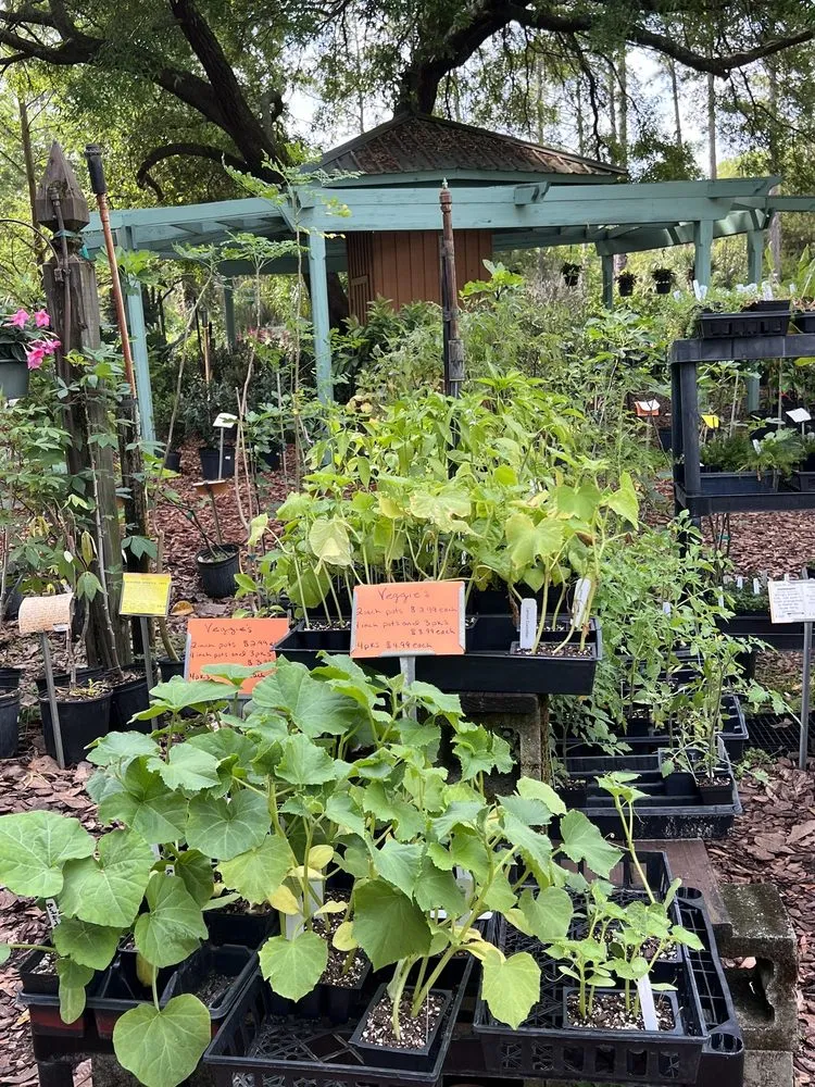 Local residential landscaping for year-round maintenance in Crawfordville, FL by Just Fruits and Exotics