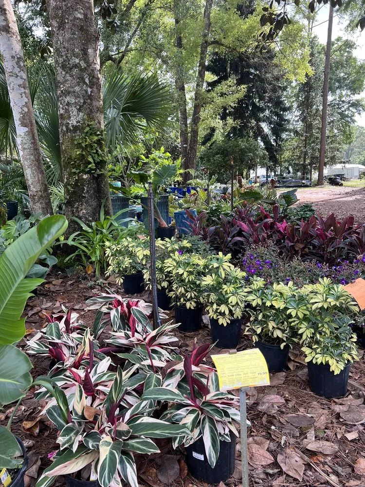 Professional garden landscaping for residential properties in Crawfordville, FL by Just Fruits and Exotics