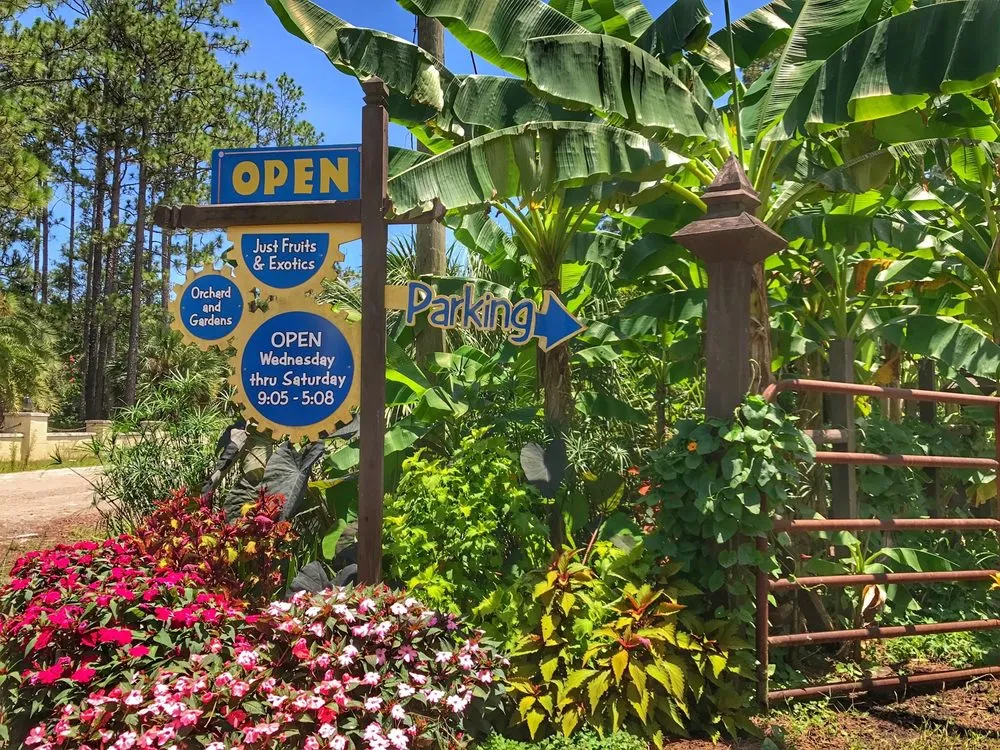 Local yard maintenance in Crawfordville, FL - Just Fruits and Exotics