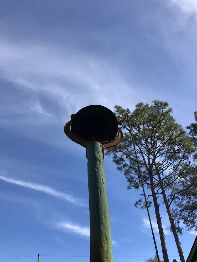 Professional landscape installation in Crawfordville, FL - Just Fruits and Exotics