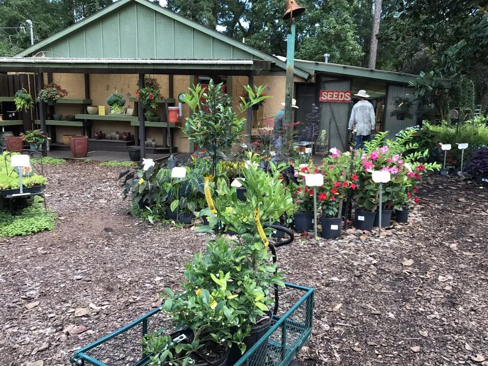 Local yard cleanup service with custom design in Crawfordville, FL by Just Fruits and Exotics