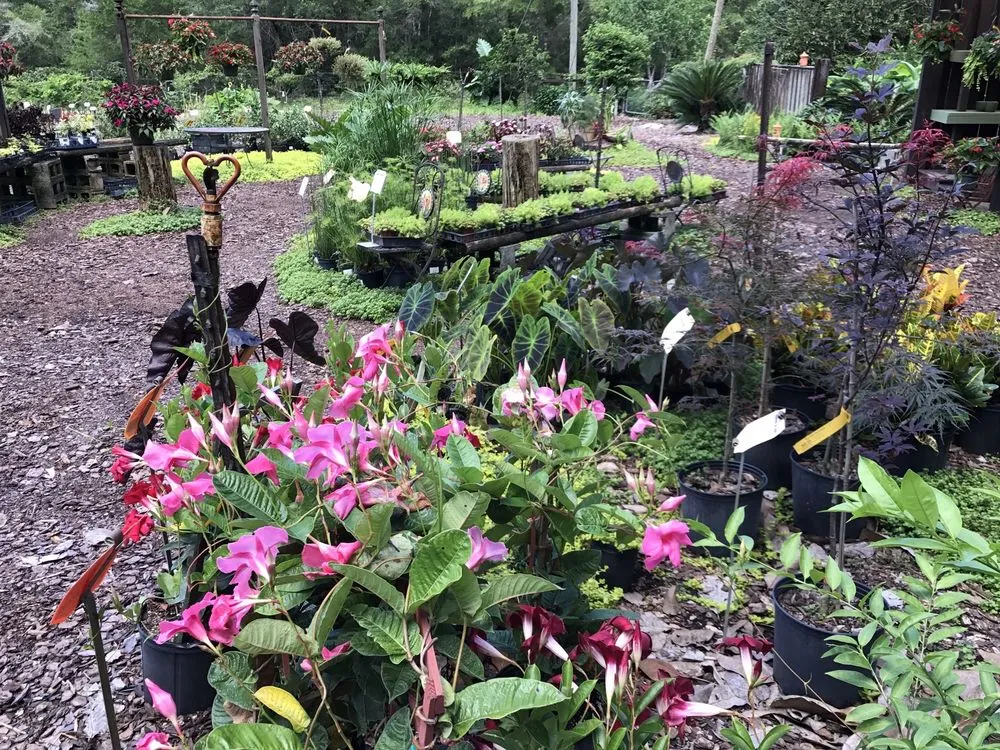 Professional outdoor landscaping for year-round maintenance in Crawfordville, FL by Just Fruits and Exotics