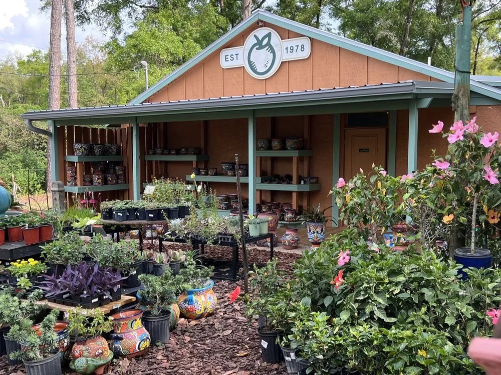 Trusted yard cleanup service experts serving Crawfordville, FL - Just Fruits and Exotics