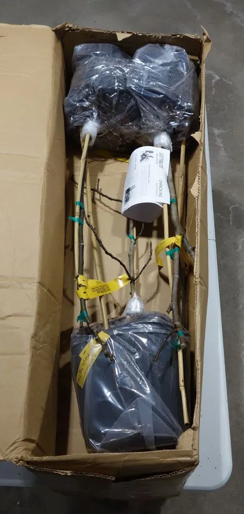 Custom landscaping services in Crawfordville, FL - Just Fruits and Exotics