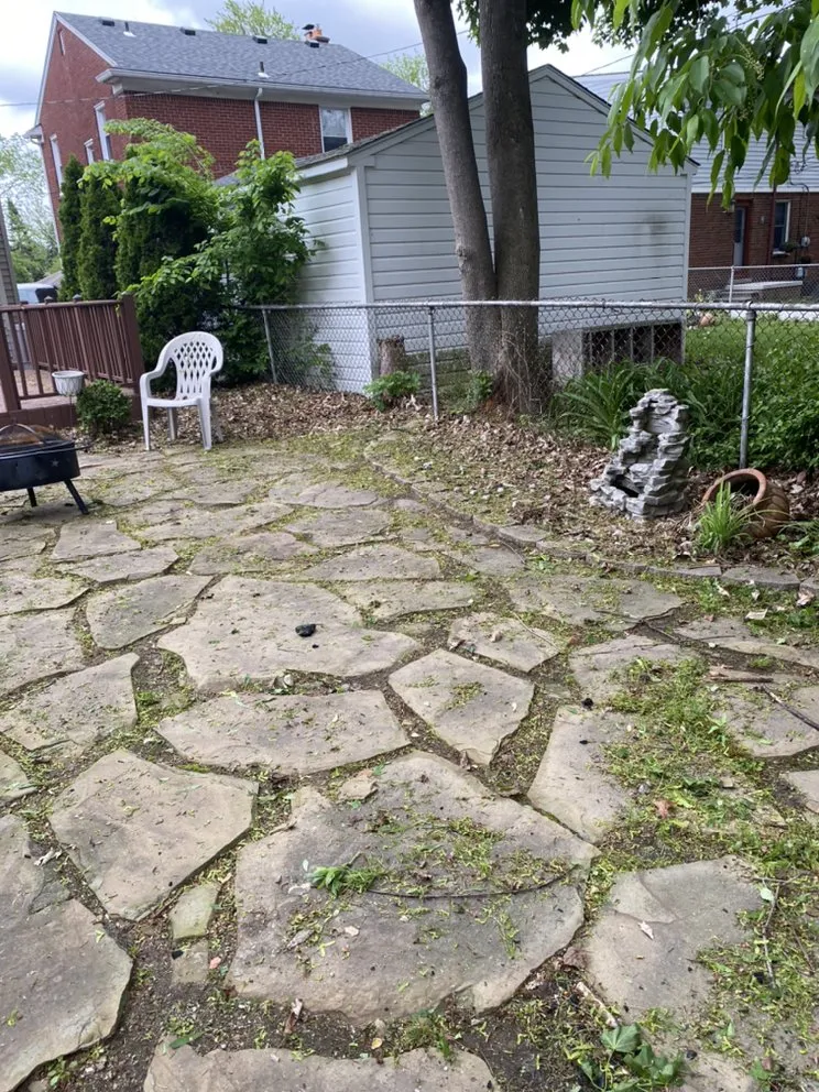 Top-rated landscaping services near you across Detroit, MI - Just Good JuJu Landscaping