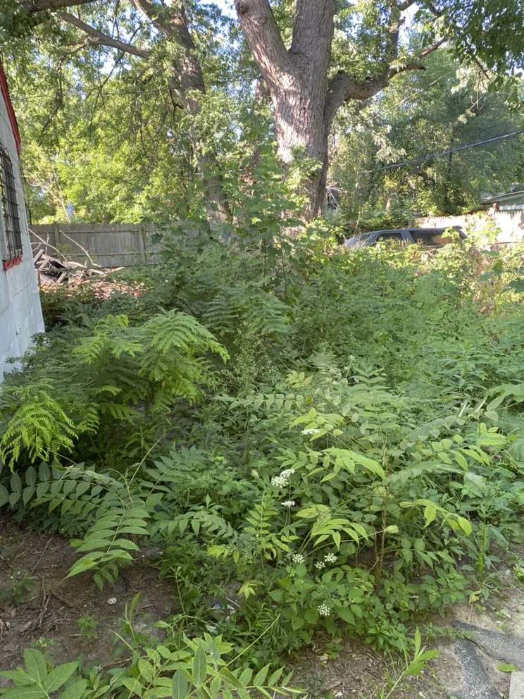 Expert landscape installation experts serving Detroit, MI - Just Good JuJu Landscaping