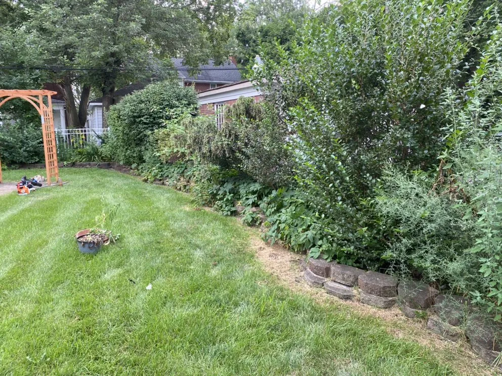 Trusted residential landscaping for year-round maintenance in Detroit, MI by Just Good JuJu Landscaping