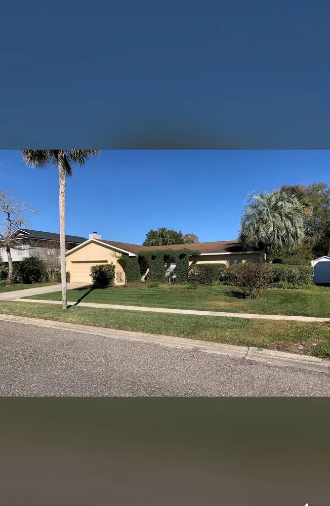 Expert residential landscaping experts serving Deltona, FL - Just Green Landscaping