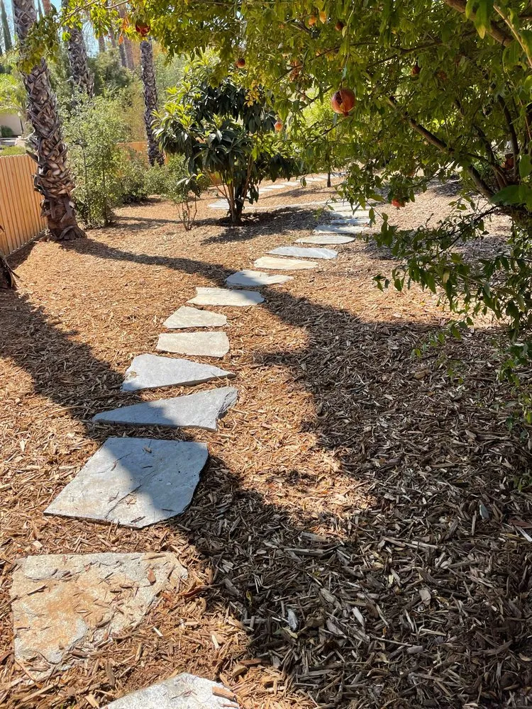 Expert lawn mowing service in San Marcos, CA by Just Green Landscaping