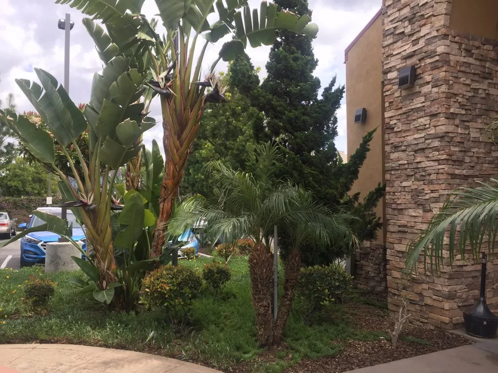 Affordable lawn mowing service in San Marcos, CA by Just Green Landscaping