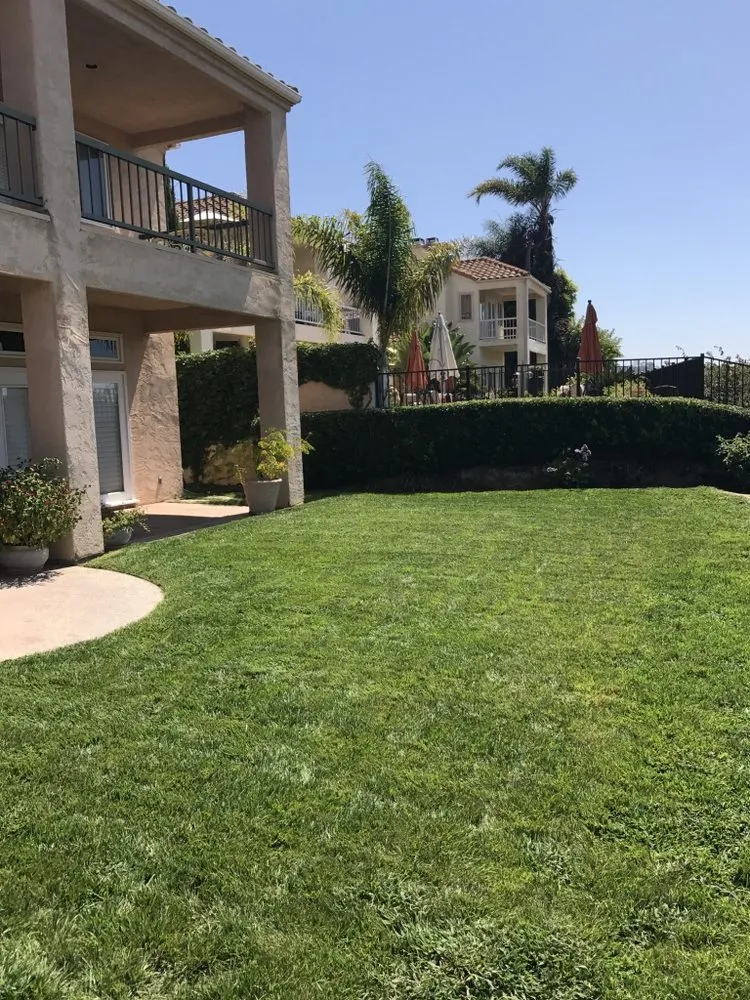 Expert landscape installation in San Marcos, CA by Just Green Landscaping