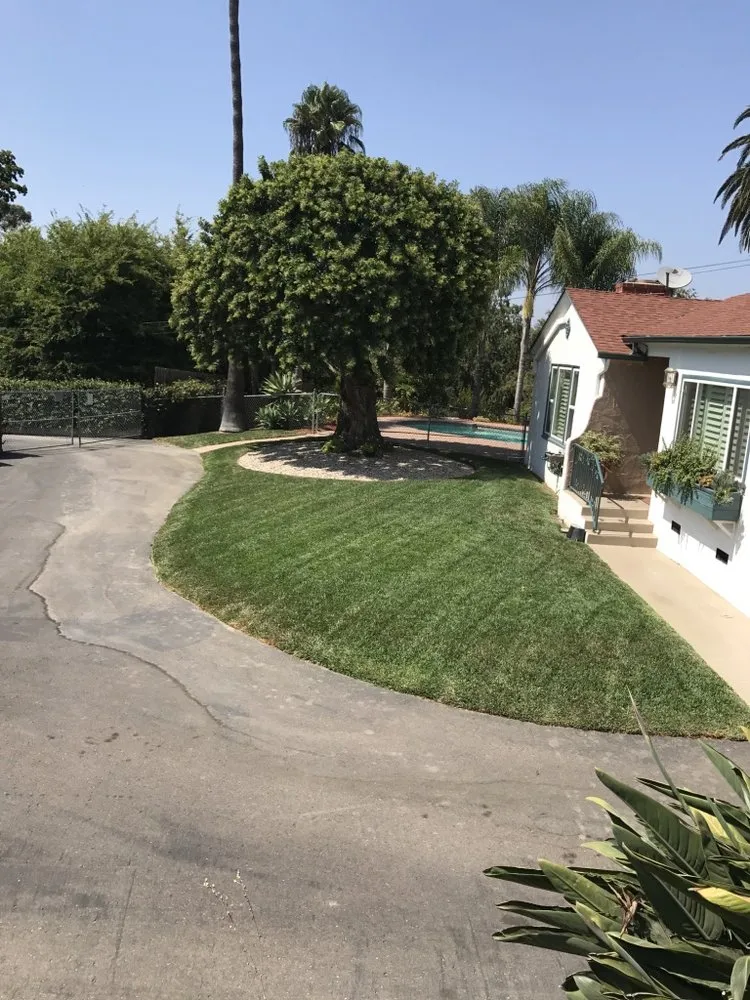 Professional garden landscaping in San Marcos, CA by Just Green Landscaping