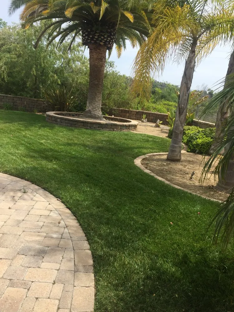 Local landscape design with custom design in San Marcos, CA by Just Green Landscaping