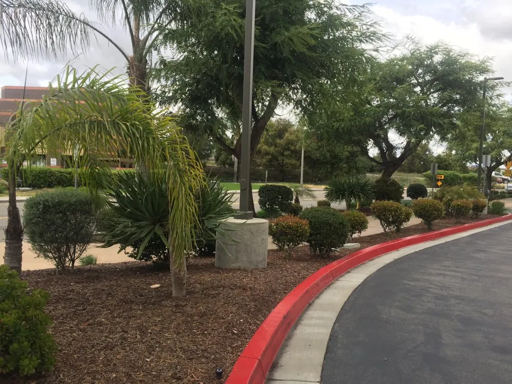 Trusted lawn care service in San Marcos, CA - Just Green Landscaping