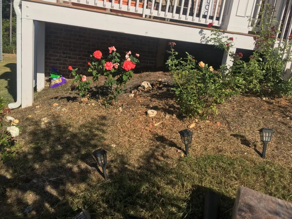 Custom residential landscaping for residential properties across Euharlee, GA - Just Grindin Lawn Care