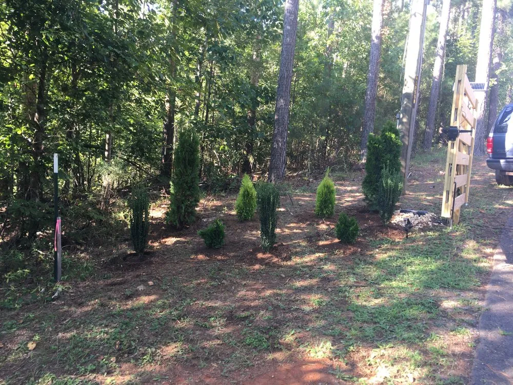 Affordable yard cleanup service near you in Euharlee, GA by Just Grindin Lawn Care