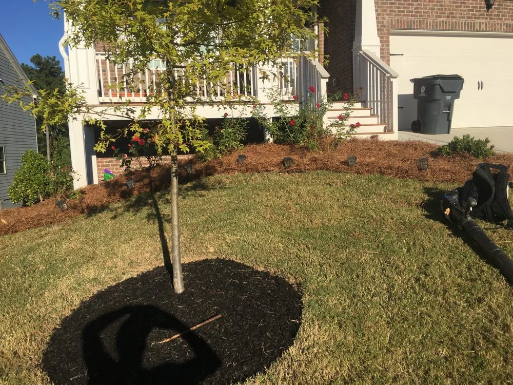 Top-rated landscaping services experts serving Euharlee, GA - Just Grindin Lawn Care