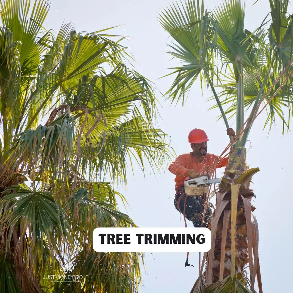 Reliable residential landscaping near you across Malibu, CA - Just Honey Do It