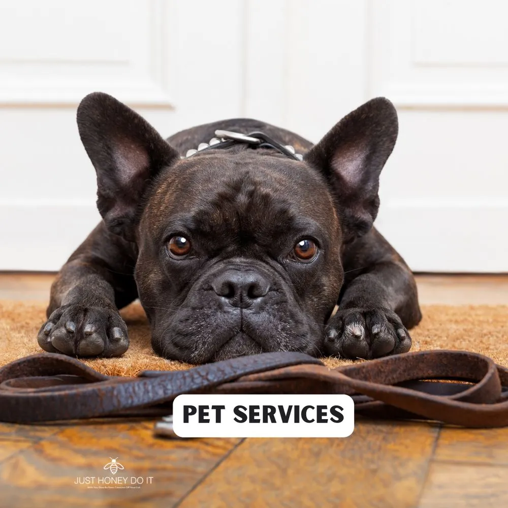 Expert yard cleanup service with custom design in Malibu, CA by Just Honey Do It