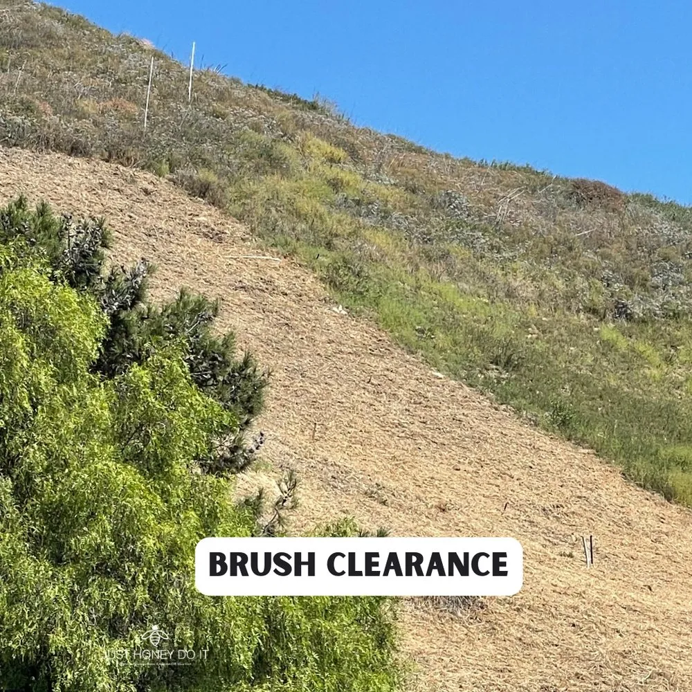 Local landscape design experts serving Malibu, CA - Just Honey Do It