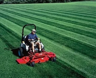 Expert landscaping services for beautiful yards across Butler, NJ - Just-In-Credible Home Solutions