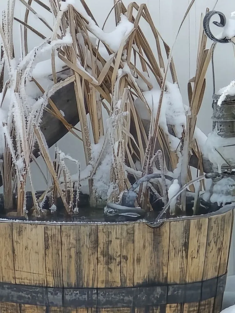 Local yard maintenance experts serving Severance, CO - Just-In Time Landscape & Maintenance