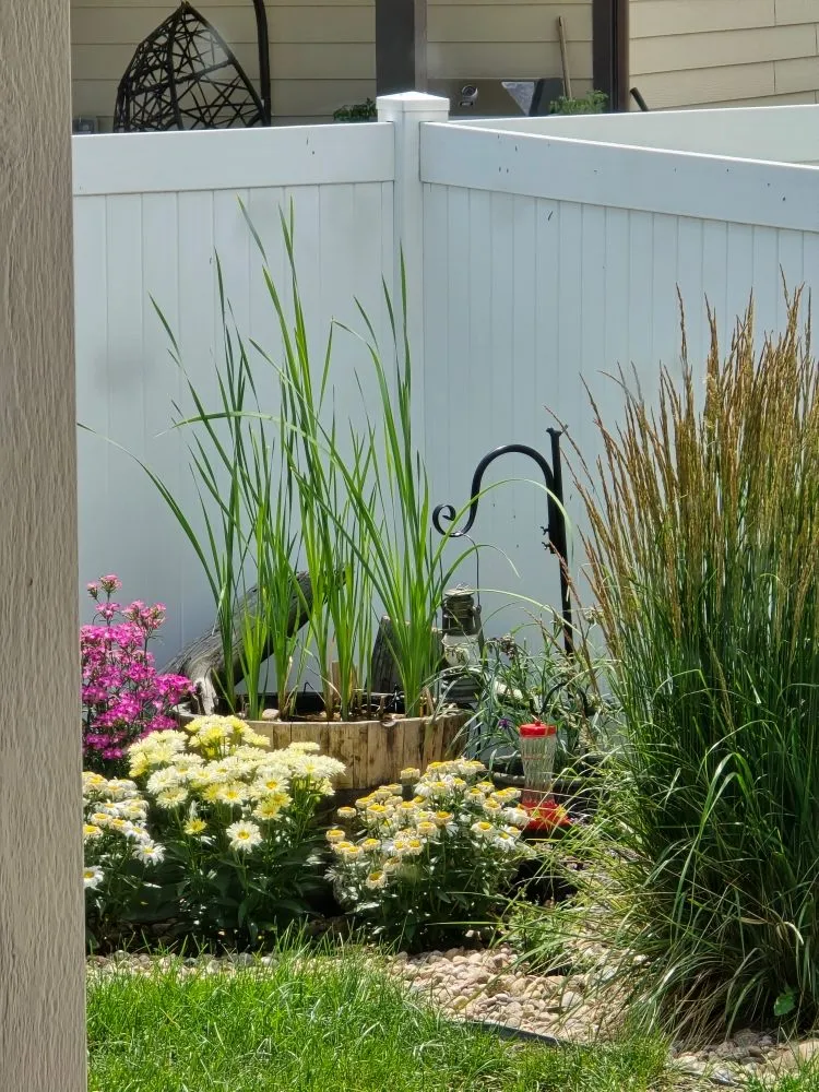 Professional lawn mowing service for residential properties across Severance, CO - Just-In Time Landscape & Maintenance