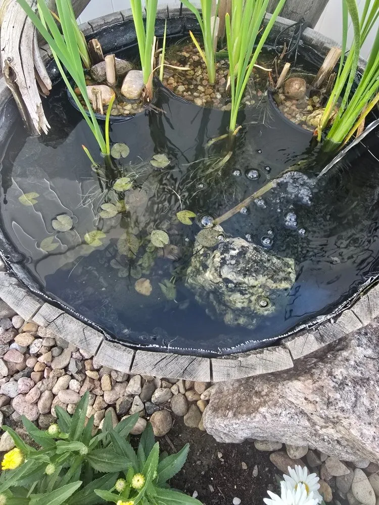 Top-rated outdoor landscaping experts serving Severance, CO - Just-In Time Landscape & Maintenance