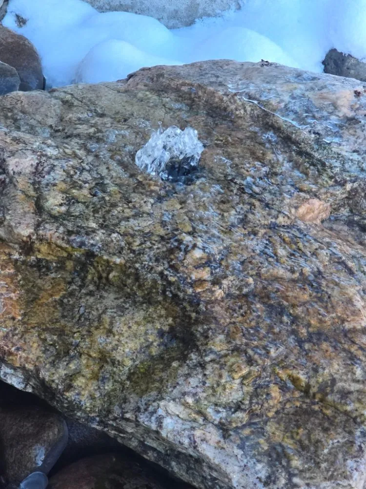 Professional yard maintenance for beautiful yards in Severance, CO by Just-In Time Landscape & Maintenance