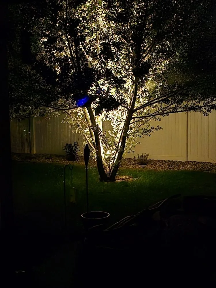 Local landscape installation for homes in Severance, CO by Just-In Time Landscape & Maintenance