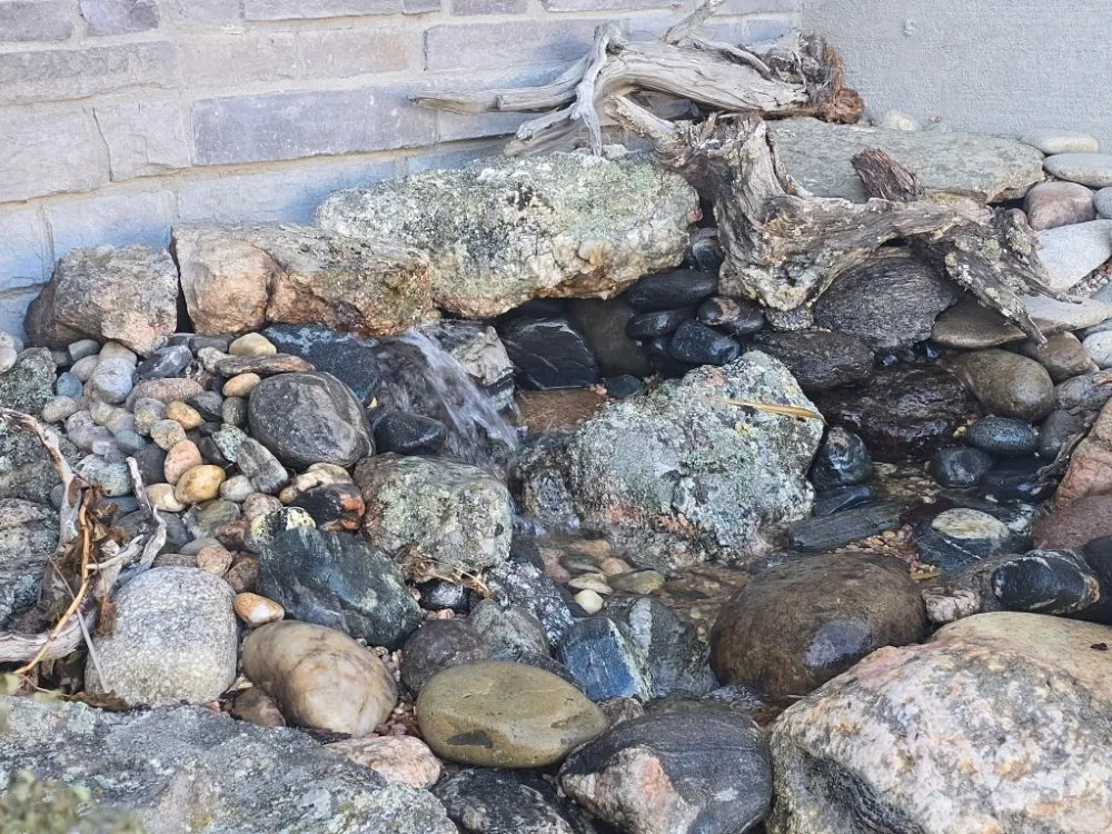 Local outdoor landscaping in Severance, CO by Just-In Time Landscape & Maintenance