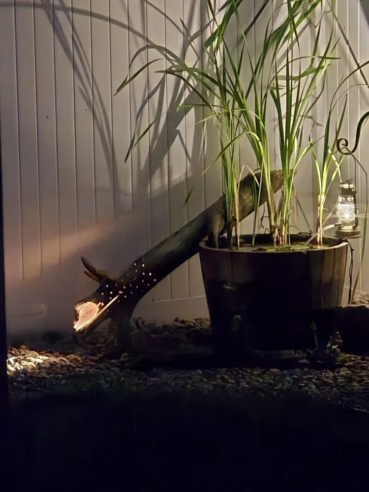 Custom landscape design for outdoor upgrades in Severance, CO by Just-In Time Landscape & Maintenance