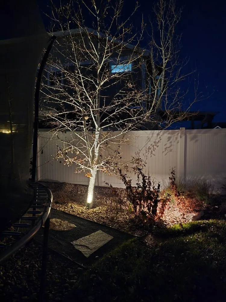 Top-rated lawn mowing service in Severance, CO by Just-In Time Landscape & Maintenance