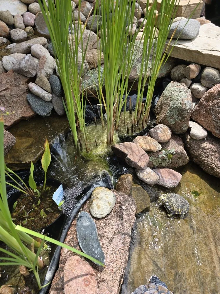 Top-rated landscape design with custom design across Severance, CO - Just-In Time Landscape & Maintenance