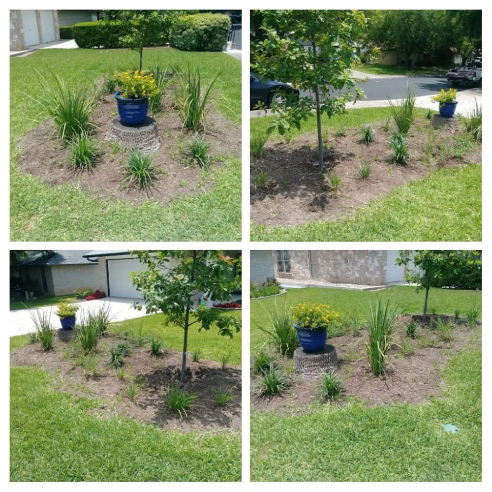 Custom yard maintenance experts serving San Antonio, TX - Just-In Time Lawn Care